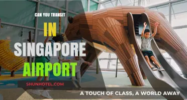A Quick Guide to Transiting in Singapore's Changi Airport