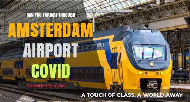 Traveling via Amsterdam: Navigating Airport Transit During COVID