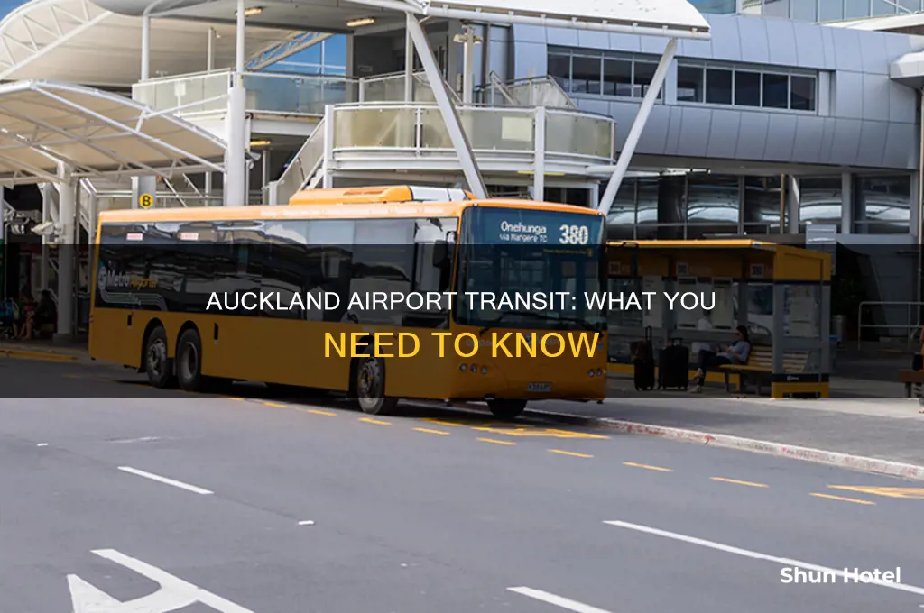 can you transit through auckland airport