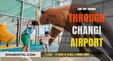 Exploring Changi Airport: Transit Opportunities and Attractions