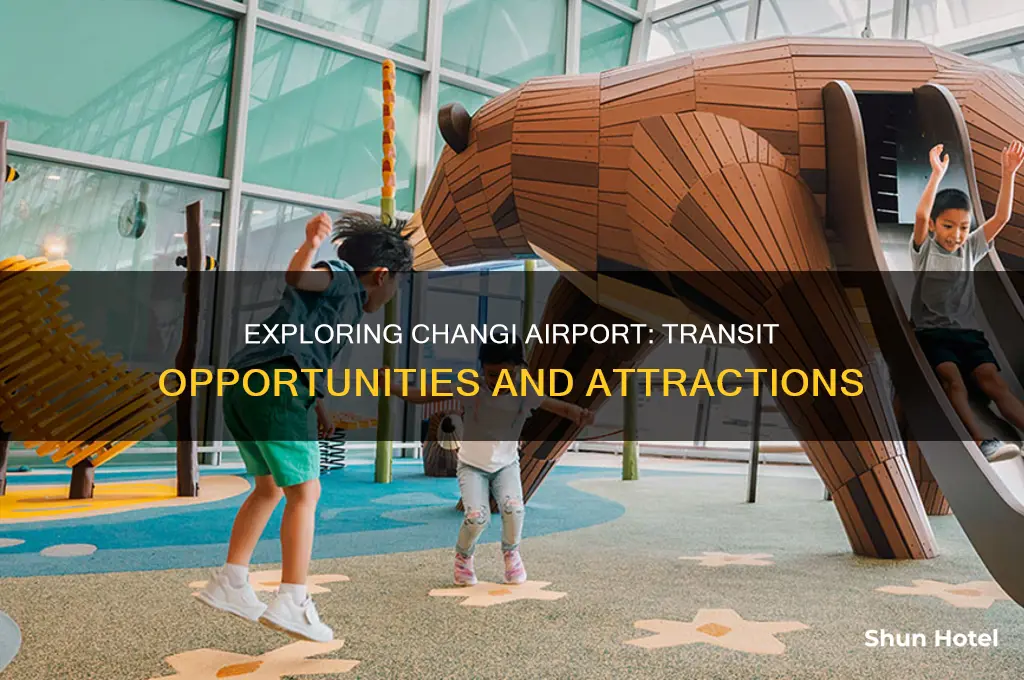can you transit through changi airport