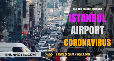 Coronavirus Transit Rules at Istanbul Airport: What You Need to Know
