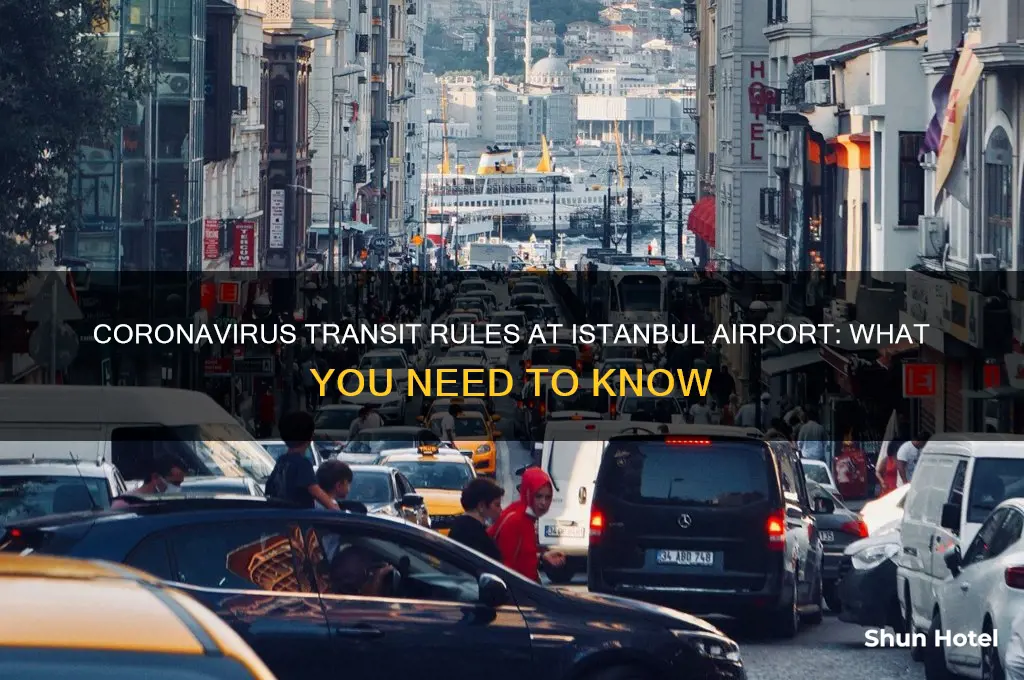 can you transit through istanbul airport coronavirus
