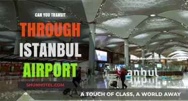 Istanbul Airport: Exploring Transit Privileges and Perks