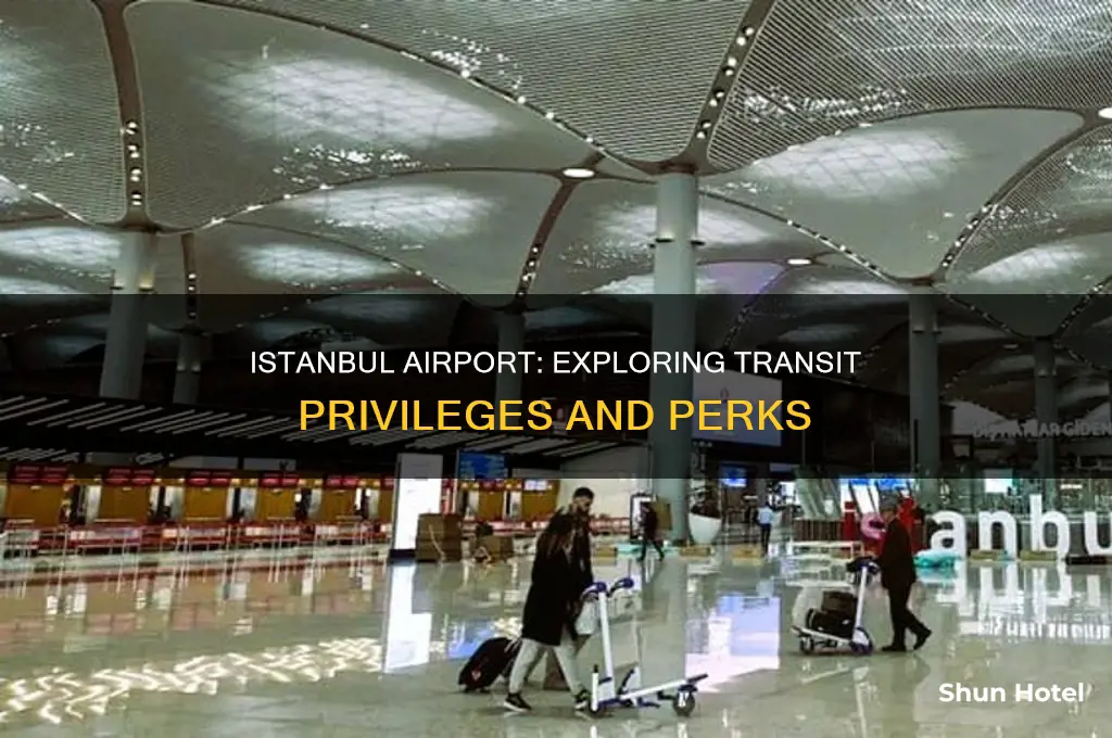 can you transit through istanbul airport