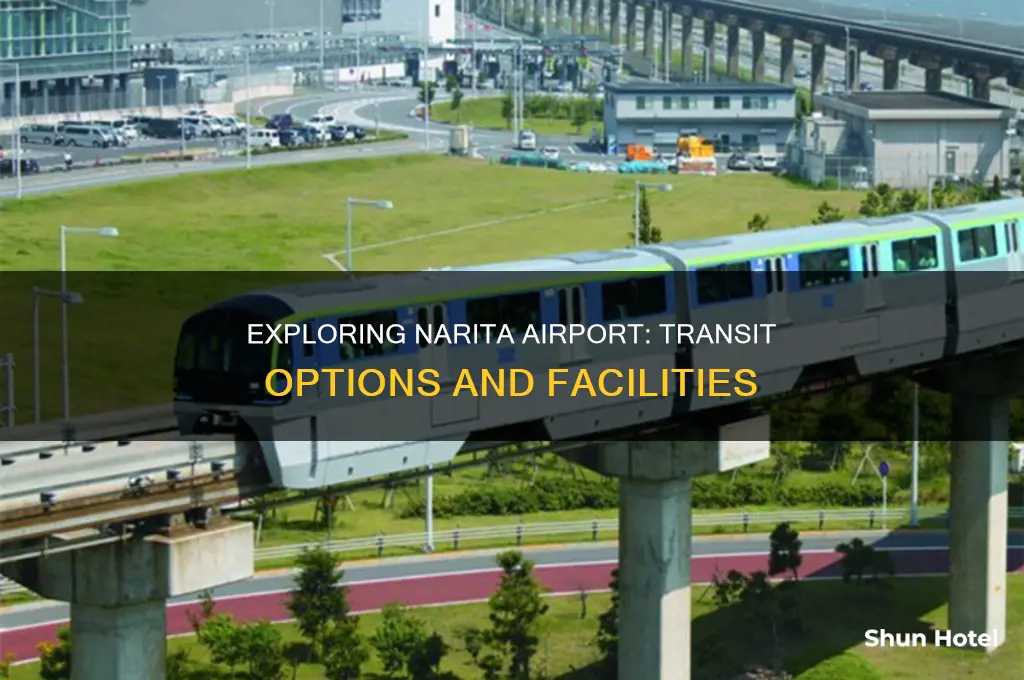 can you transit through narita airport