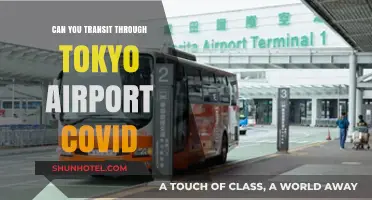 Tokyo Airport Transit: Covid-Era Travel