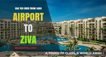 Uber from Los Cabos Airport to Ziva: What You Need to Know