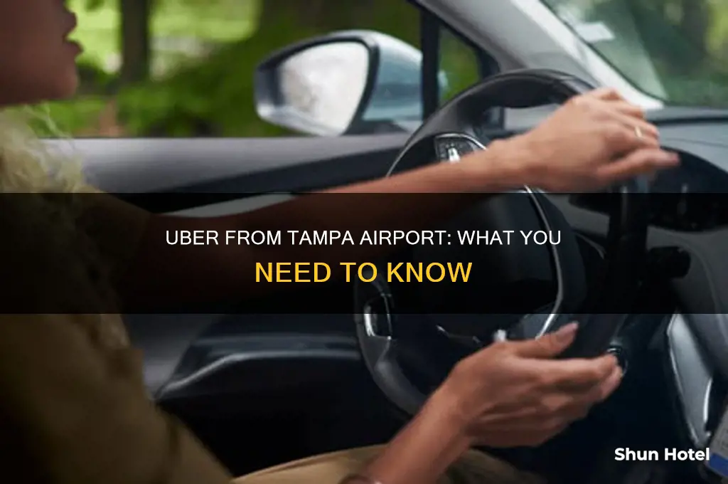 can you uber from tampa airport