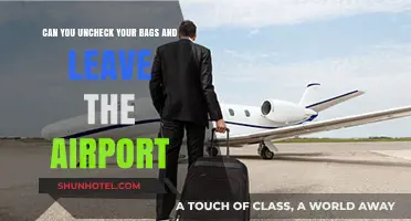 Unchecking Bags: Exploring Airport Departure Options