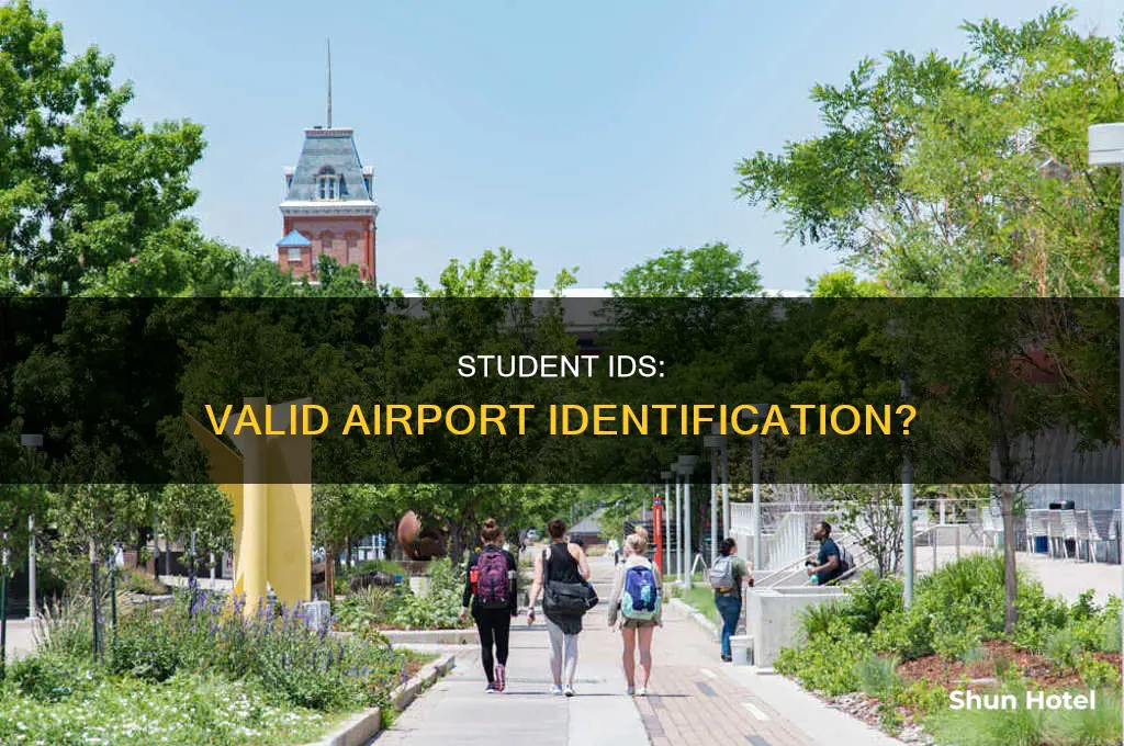 can you use a college id at the airport