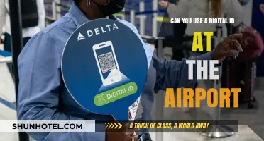 Digital IDs: The Future of Airport Security?