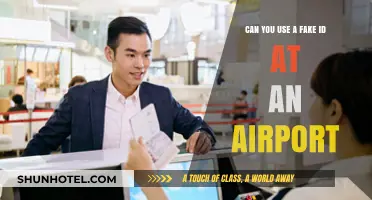 Using Fake IDs: Airport Security Issues