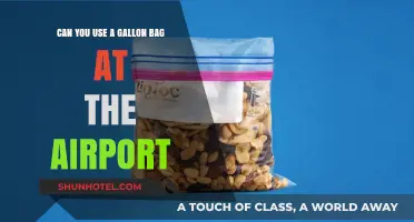 Travel Hack: Gallon Bags for Easy Airport Security