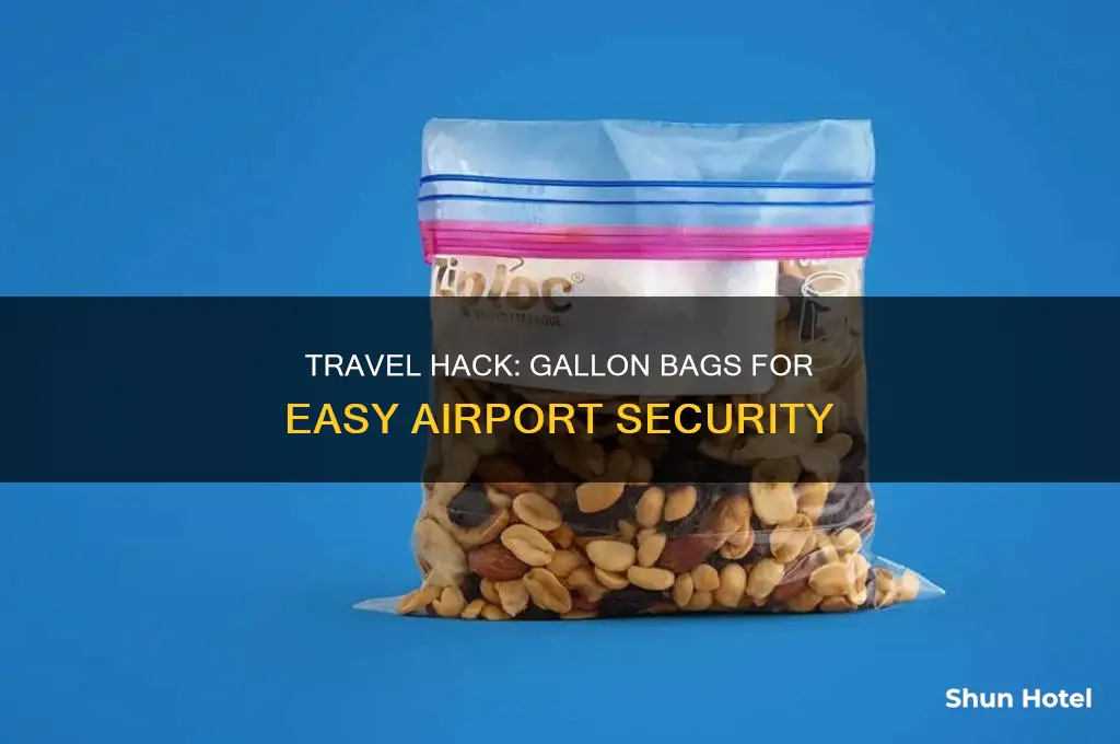 can you use a gallon bag at the airport