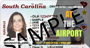 Airports and Hole-Punched IDs: What You Need to Know