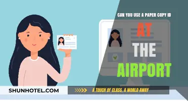 Airport Security: Paper ID vs Digital Alternatives