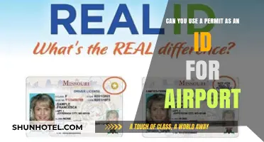 Traveling with a Permit: Valid Airport ID?