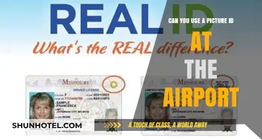 Air Travel: Picture ID or No Go?