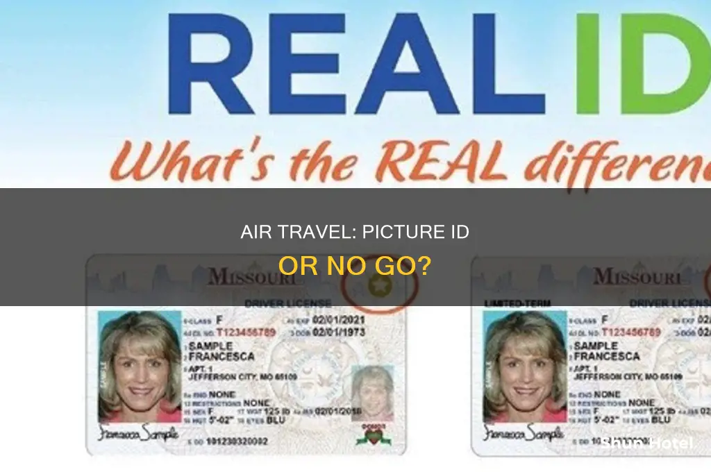 can you use a picture id at the airport