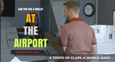 Traveling with a Wallet: Airport Security and You