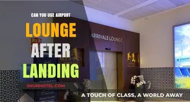 Explore Airport Lounge Access After Landing