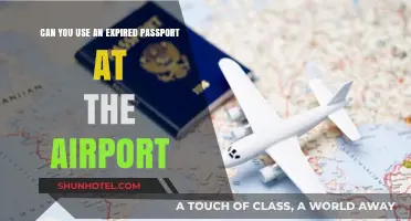Using Expired Passports: Airport Travel Tips
