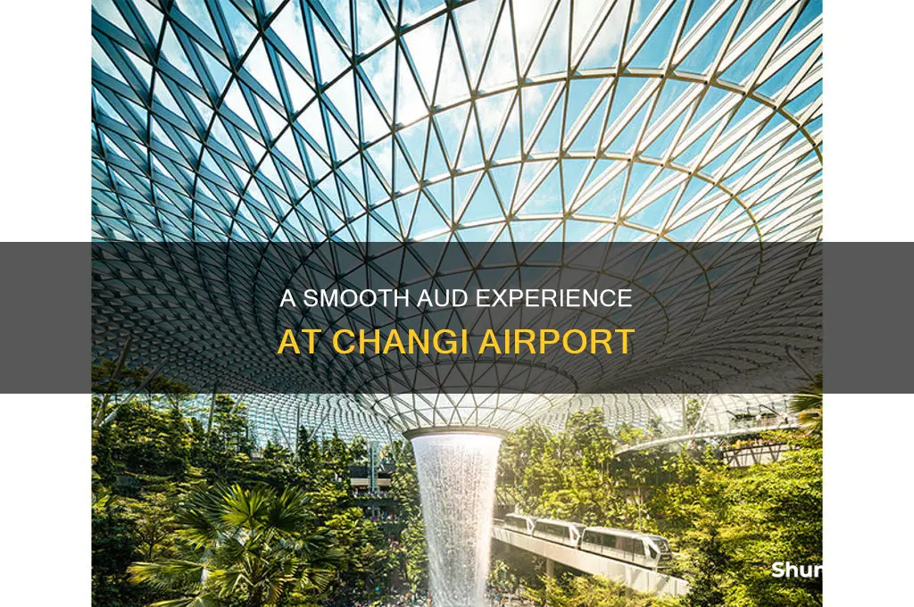 can you use aud in changi airport