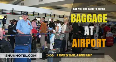 Travelers' Dilemma: Cash Payment for Airport Bag Check-In