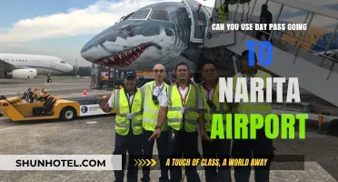 Day Pass to Narita: Is it Possible?