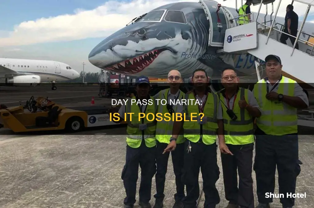 can you use day pass going to narita airport