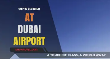 Dollars at Dubai Airport: Accepted or Not?