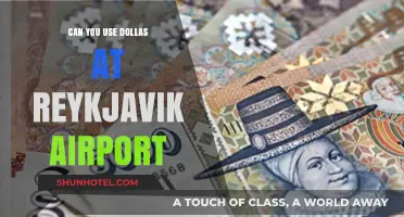 Using Dollars at Reykjavik Airport: Is it Possible?