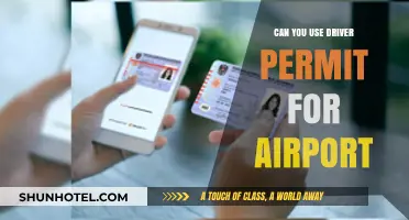 Airport Security: Can You Use Your Driver's Permit?