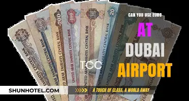 Using Euros at Dubai Airport: What You Need to Know