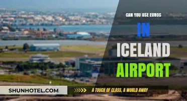 Using Euros in Iceland's Airport: Is it Possible?