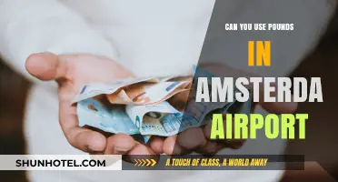 Amsterdam Airport: Pounds or Euros?