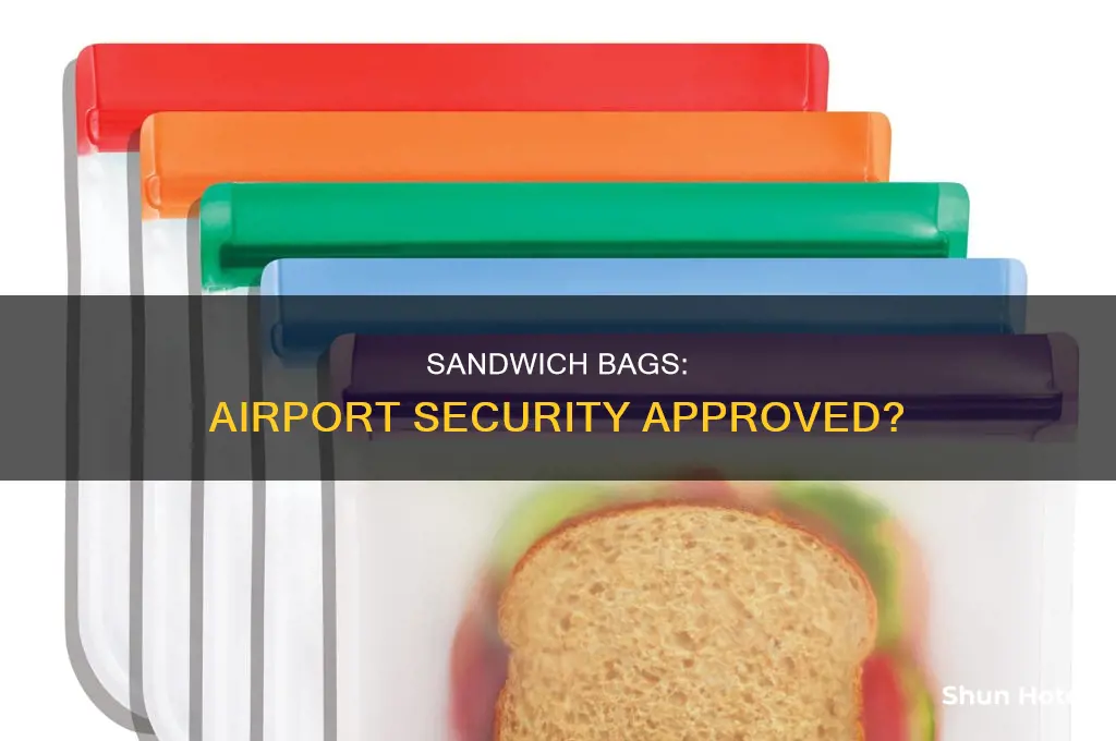 can you use sandwich bag airport