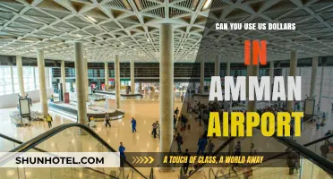 Using US Dollars at Amman Airport: Is It Possible?
