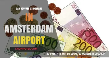 Traveling to Amsterdam? USD or Euro at the Airport?