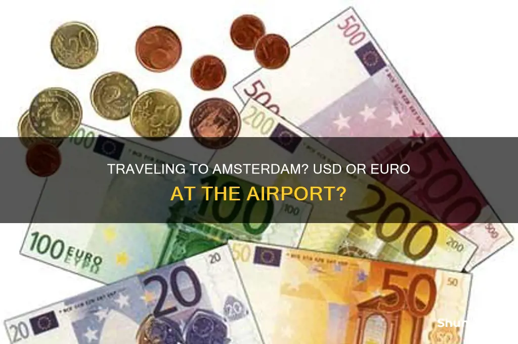 can you use us dollars in amsterdam airport