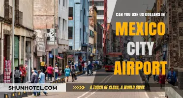 Using US Dollars at Mexico City Airport