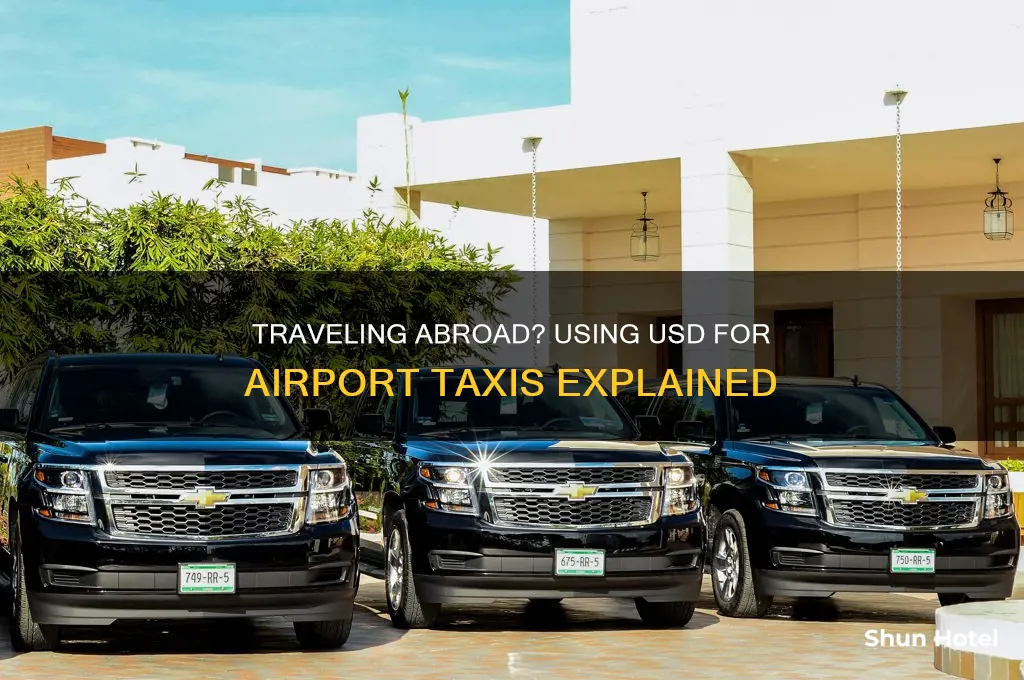 can you use usd to pay for airport taxis