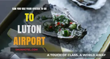 Luton Airport: Oyster Card Accessibility
