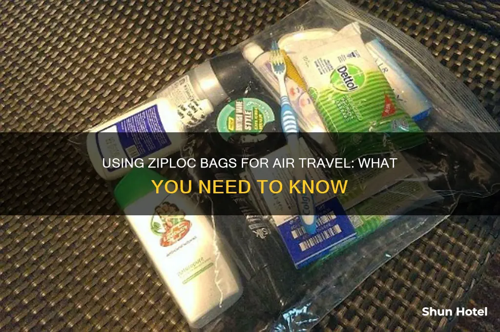 can you use ziploc freezer quart bags at the airport