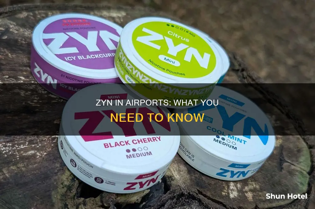 can you use zyn in airport