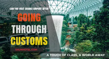 Exploring Changi Airport Post-Customs: A Passenger's Guide to Access