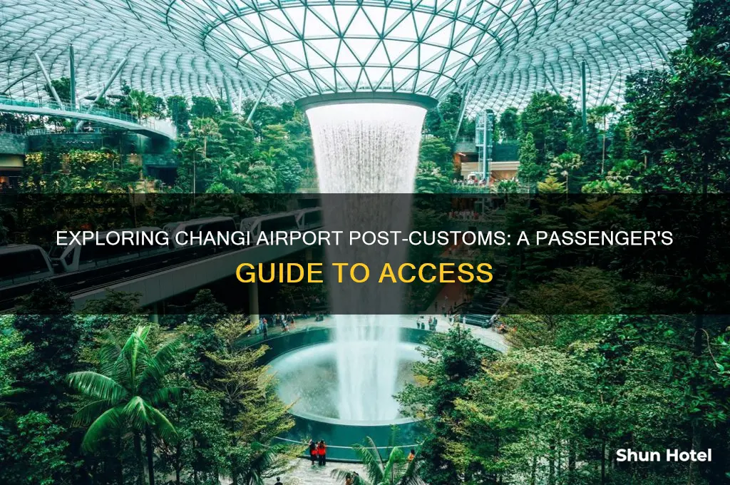 can you visit changi airport after going through customs