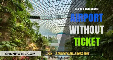 Exploring Changi Airport: Can You Visit Without a Flight Ticket?