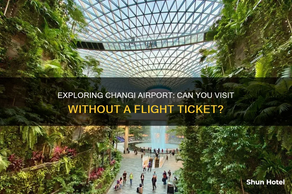 can you visit changi airport without ticket